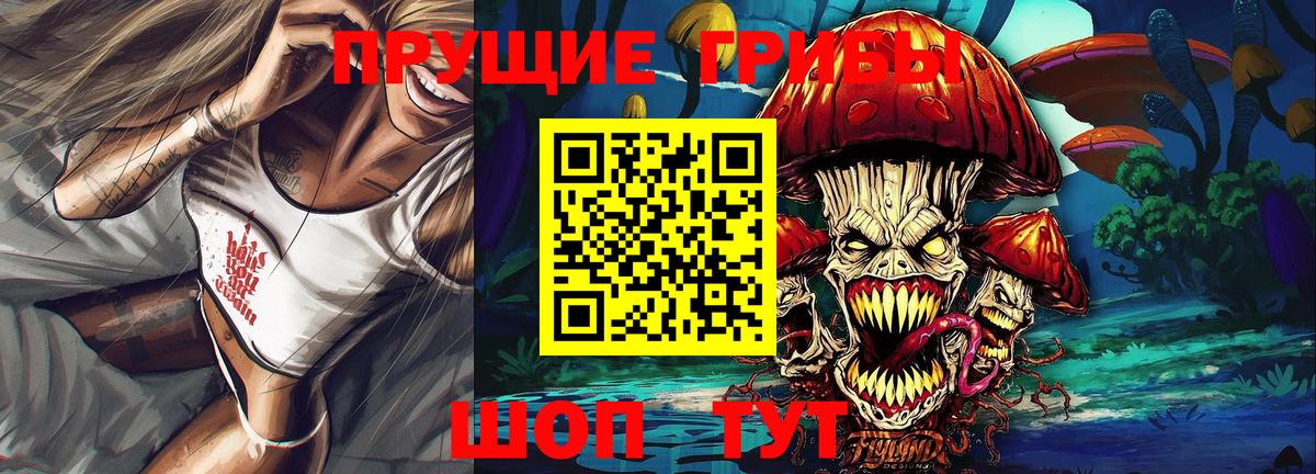 Псилоцибиновые грибы Psilocybe Горно-Алтайск