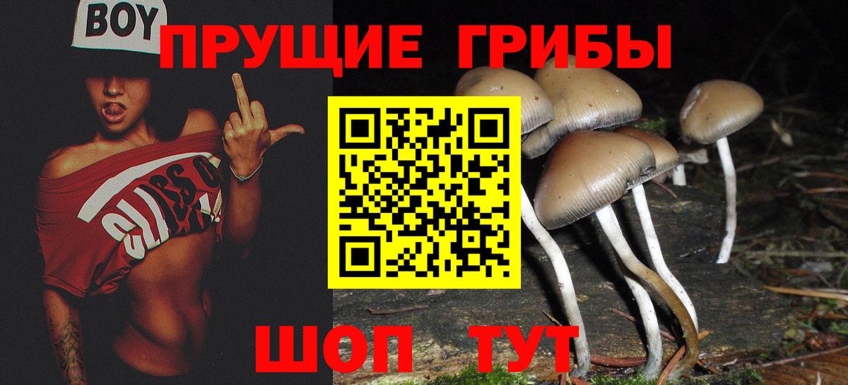 Горно-Алтайск  Галлюциногенные грибы Cubensis  Вход с VPN  Галлюциногенные грибы мухоморы 
